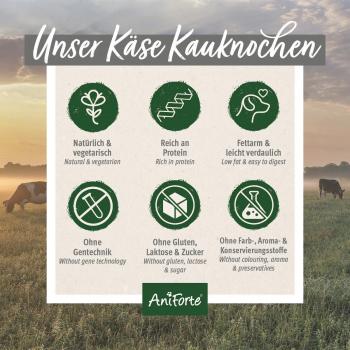 Preview: Käse-Kauknochen (vegetarisch)